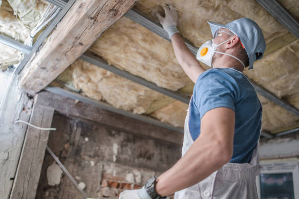 Types of Insulation We Offer in Clay, AL